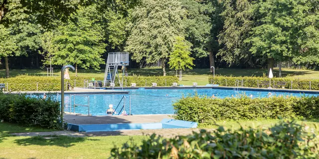Steinen Schwimmbad Ansicht Schwimmbecken mit Wald im Hintergrund